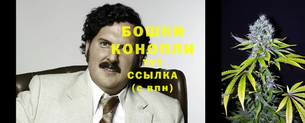мдпв Богородицк