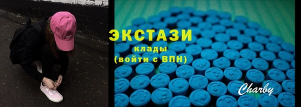 СК Богородск