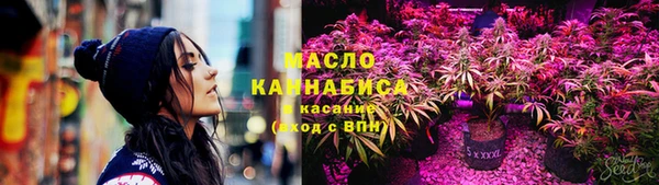 СК Богородск