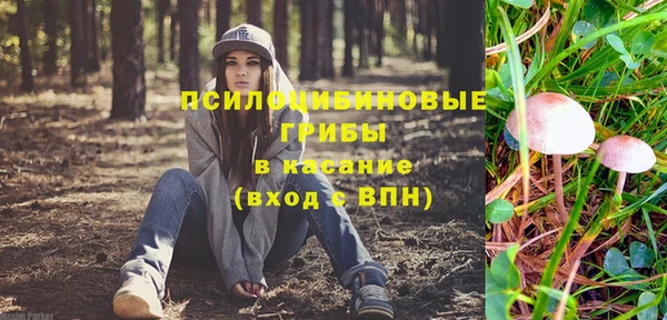 СК Богородск